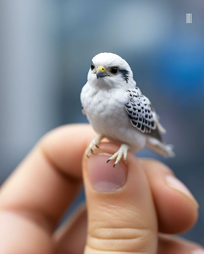 Tiny Heart-Melting Images of Wild Animals By Jyo John Mulloor