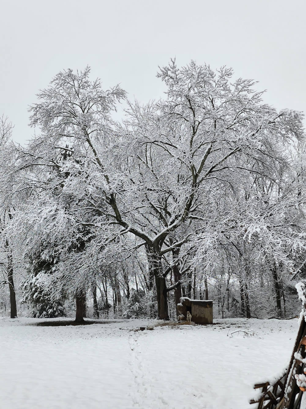 GuruShots Winning Images Of Mostly White Photo Contest