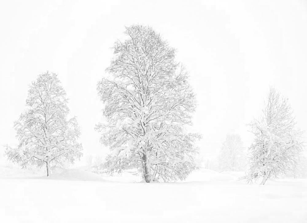 GuruShots Winning Images Of Mostly White Photo Contest