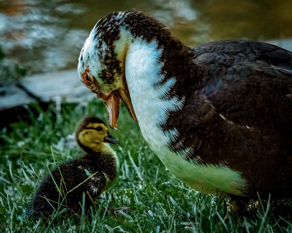 Tell A Story - GuruShots Photo Challenge Winners