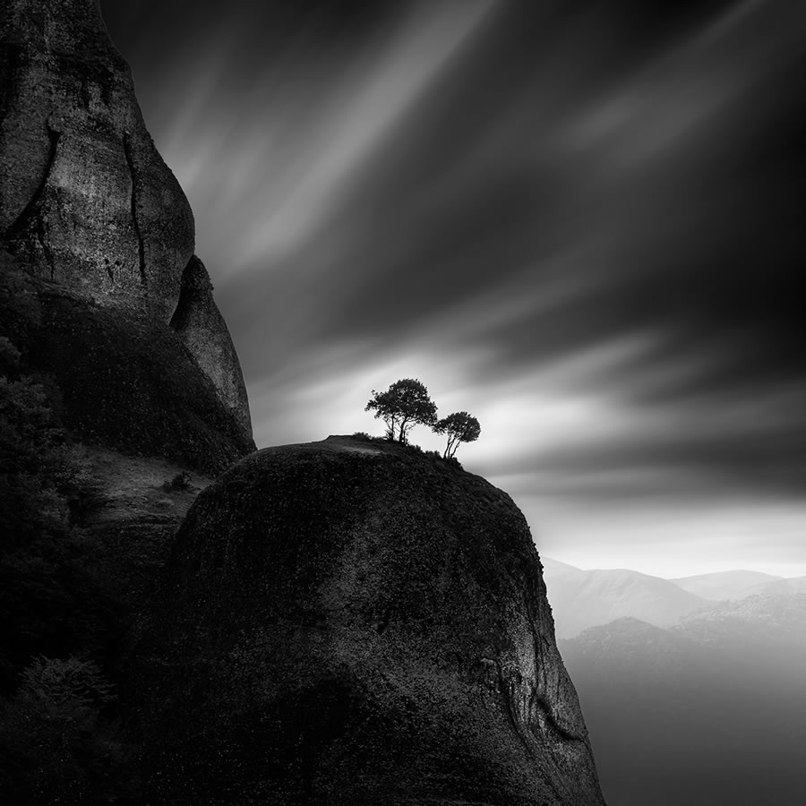 Life Of A Tree By George Digalakis