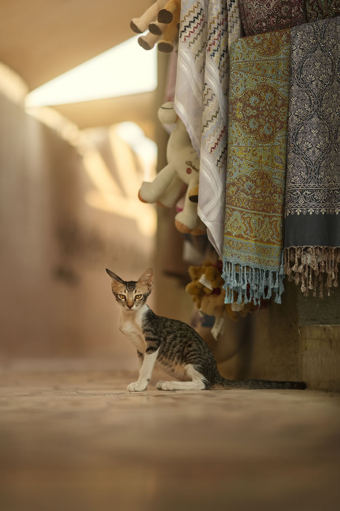 From The Streets Of Old Quarter Of Dubai 