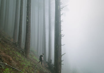 Capturing The Essence Of Spring By Brendon Burton