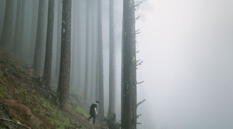 Capturing The Essence Of Spring By Brendon Burton