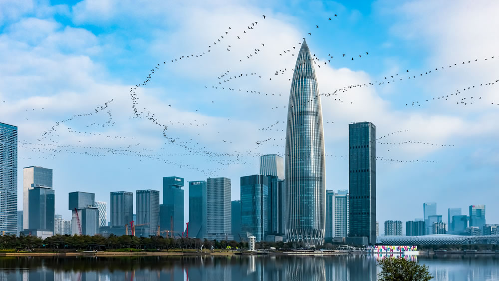 Bird Photographer Of The Year 2023 Winners