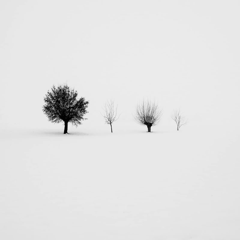 Minimalist Photography Awards 2023 Winners