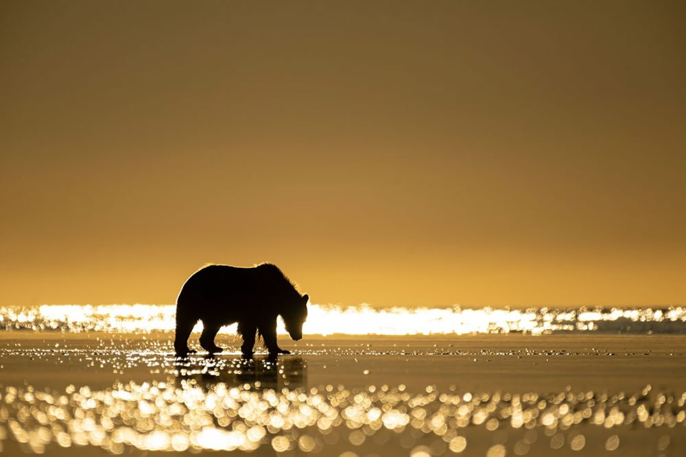 Nature TTL Photographer of the Year 2023 Winners