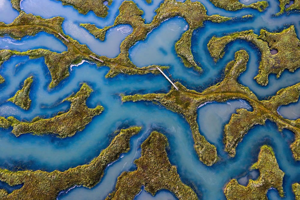 Nature TTL Photographer of the Year 2023 Winners