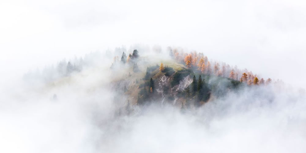 Nature TTL Photographer of the Year 2023 Winners