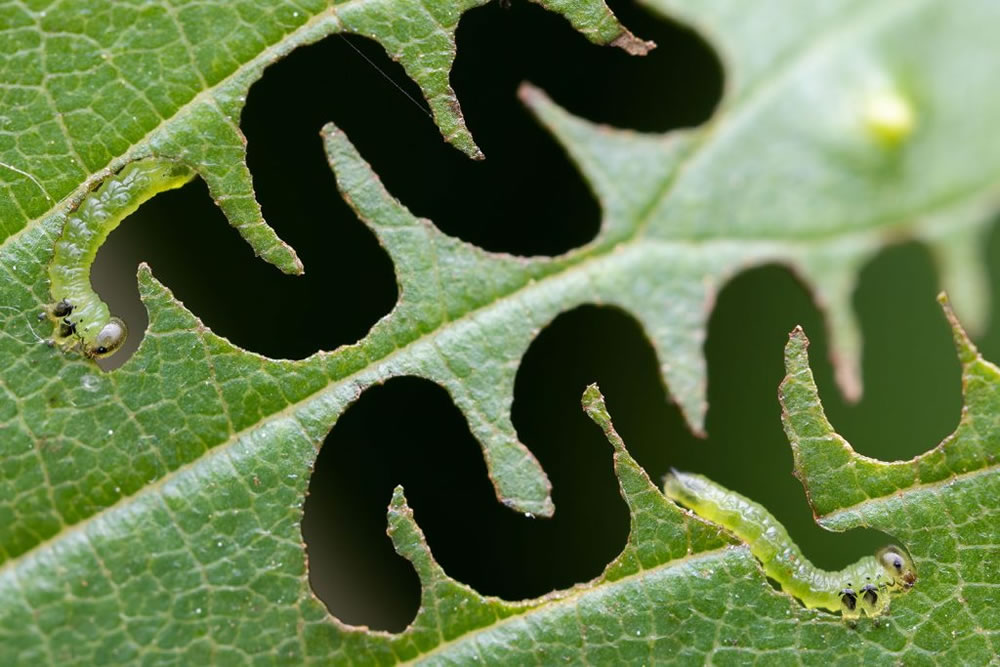 Nature TTL Photographer of the Year 2023 Winners