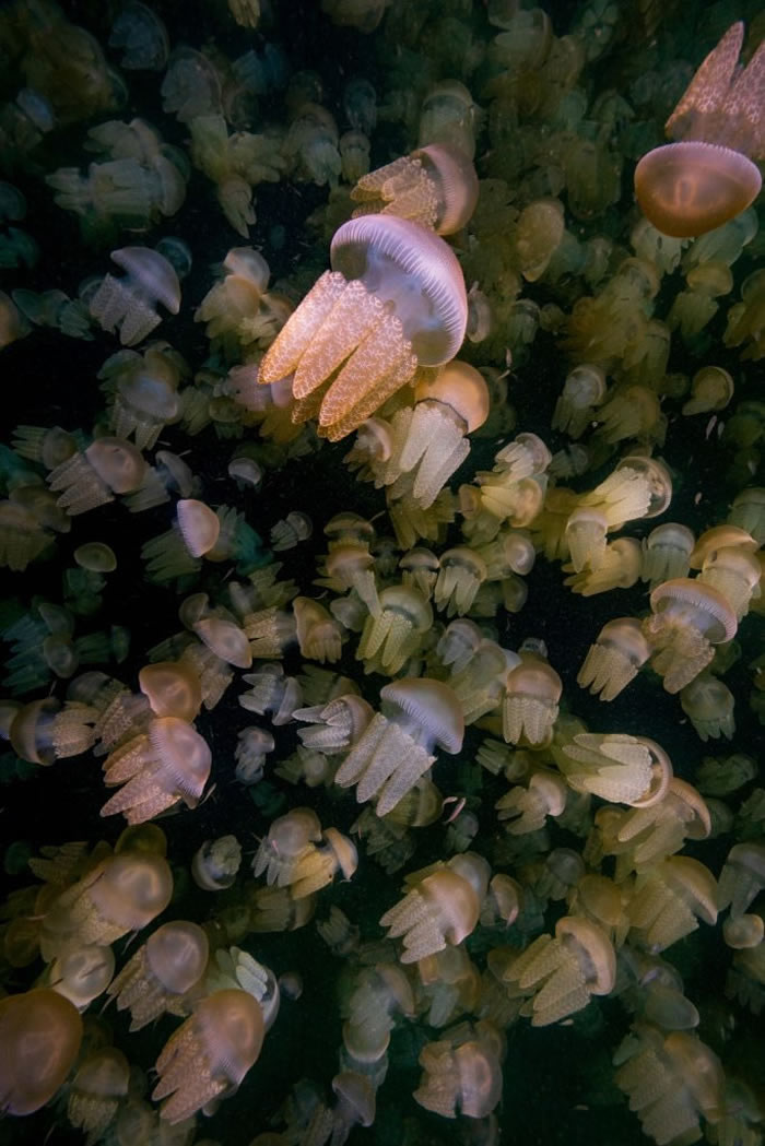 Nature TTL Photographer of the Year 2023 Winners