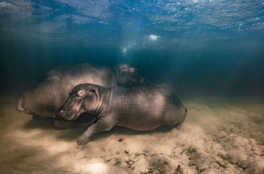 Nature TTL Photographer of the Year 2023 Winners