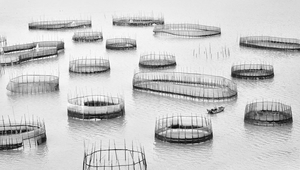 Ocean Photographer Of The Year 2023 Winners