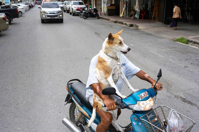 Fascinating Coincidences On The Streets By Tavepong Pratoomwong