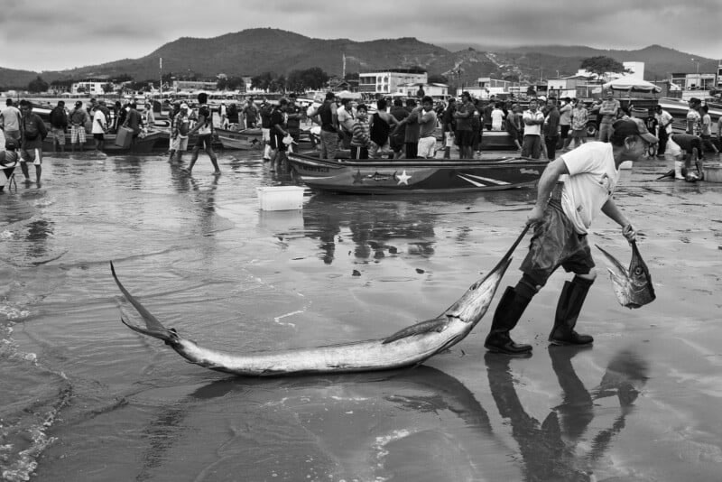 Wildlife Photographer Of The Year 2023 Best Photos