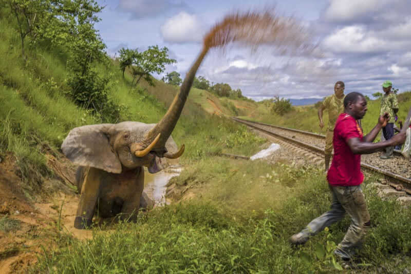 Wildlife Photographer Of The Year 2023 Best Photos