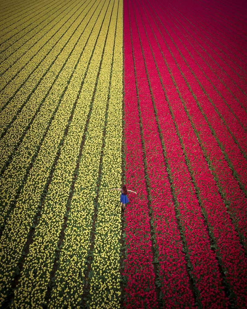 Split Photos From An Aerial Point Of View By Henry Do