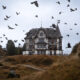 Beautiful Swiss Landscapes In Autumn by Vincent Croce