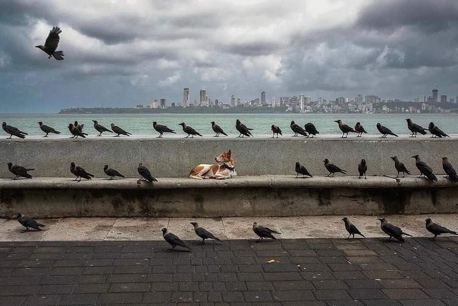 Stunning Photos Taken On The Streets