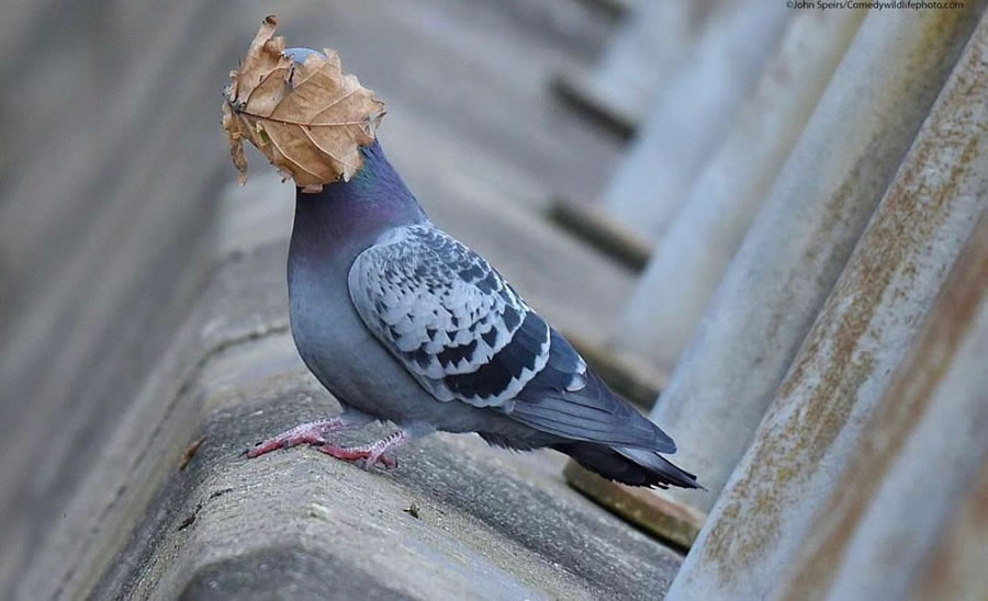 Stunning Photos Taken On The Streets