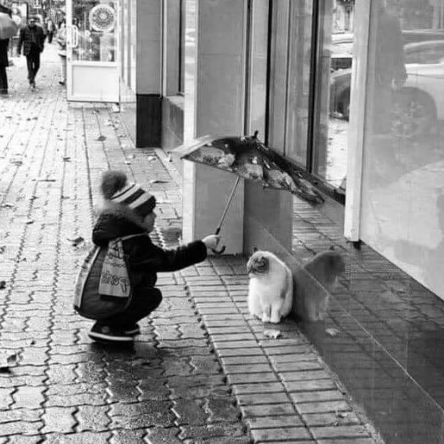 Stunning Photos Taken On The Streets