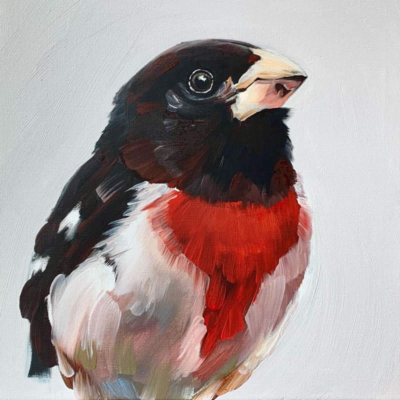 Gorgeous Bird Portrait Paintings by Rachel Altschuler