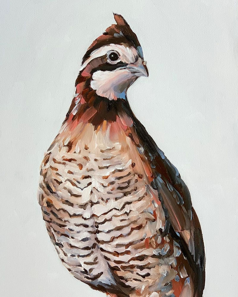 Gorgeous Bird Portrait Paintings by Rachel Altschuler