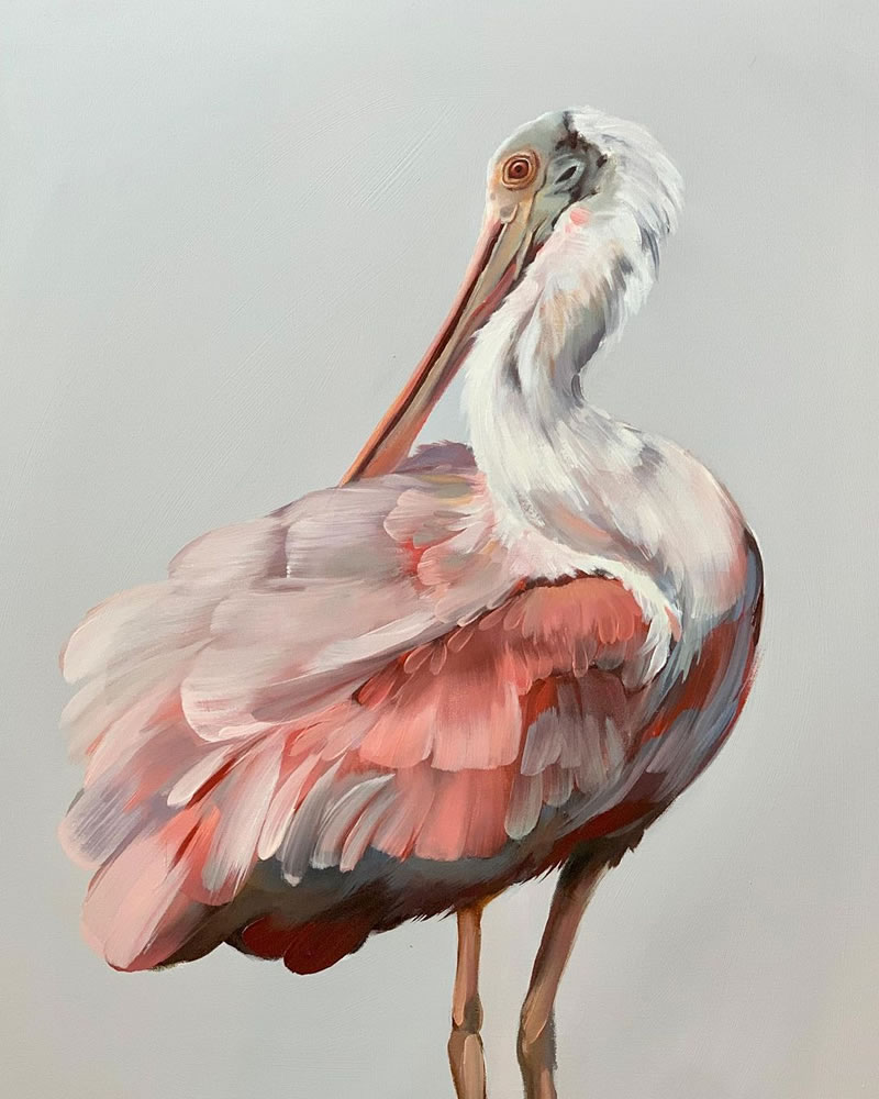 Gorgeous Bird Portrait Paintings by Rachel Altschuler