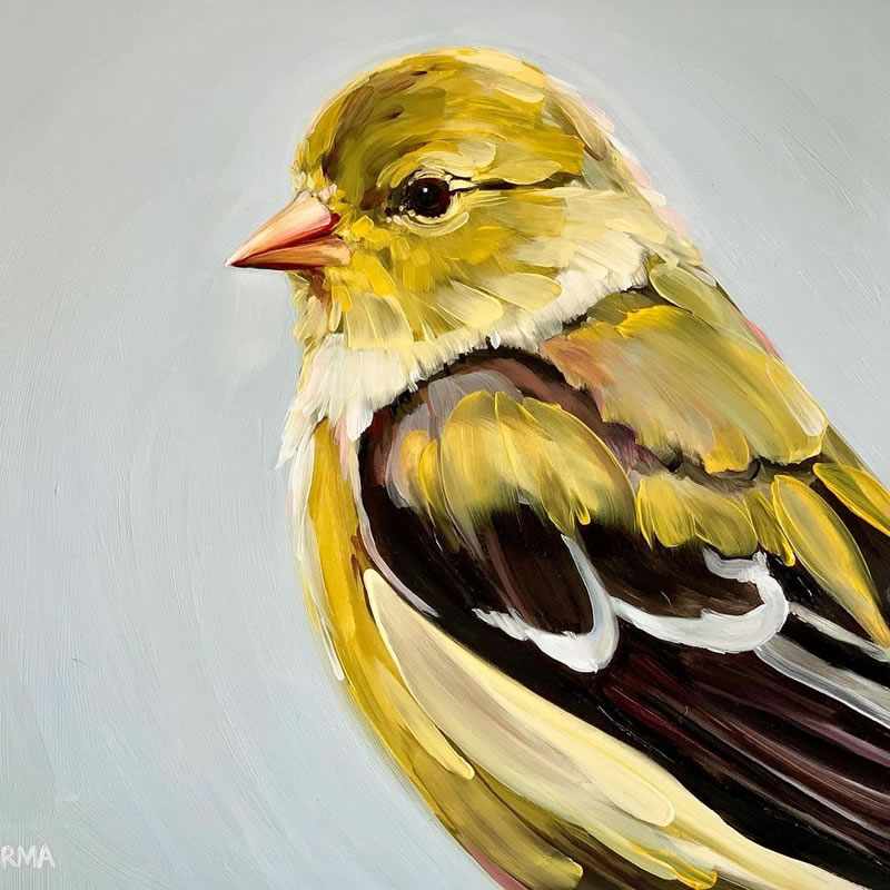 Gorgeous Bird Portrait Paintings by Rachel Altschuler