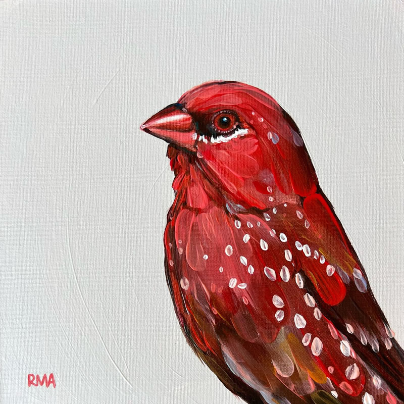 Gorgeous Bird Portrait Paintings by Rachel Altschuler