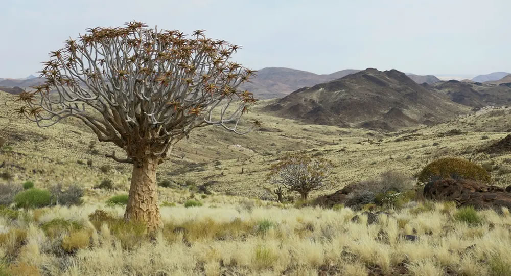 British Ecological Society Capturing Ecology Winners