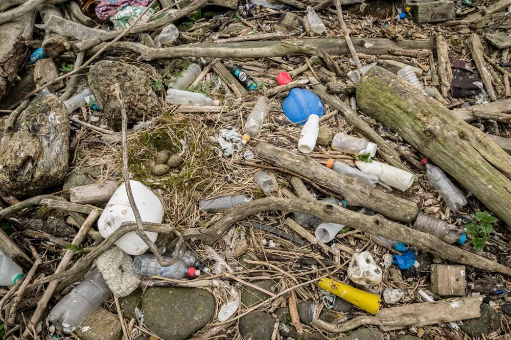 British Ecological Society Capturing Ecology Winners