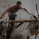 Bull Race Festival In Kerala By Ajayan Kavungal Anat