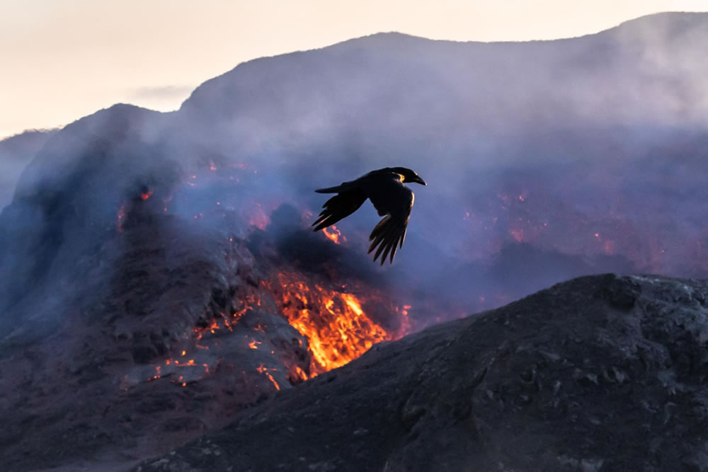 European Photography Awards 2023 Winners