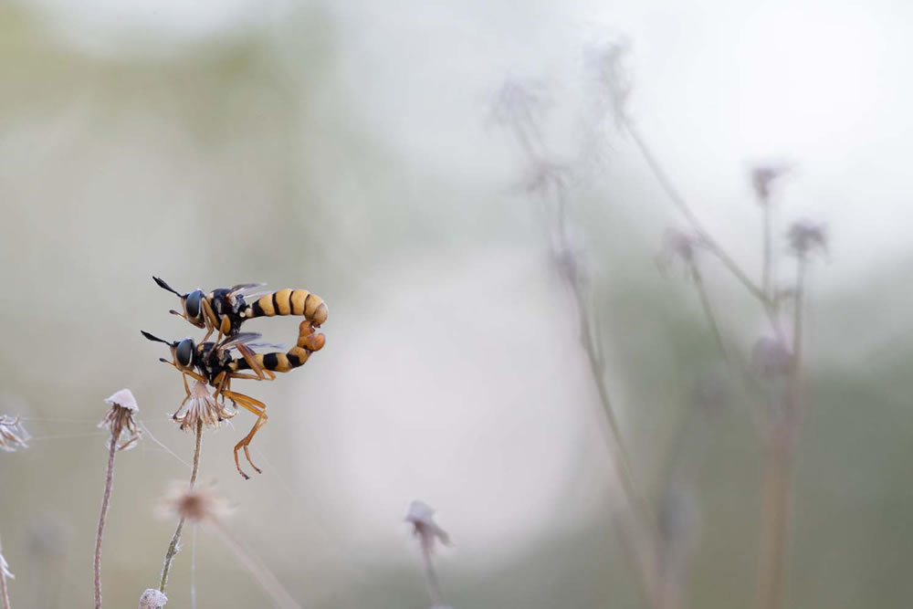 European Wildlife Photographer of the Year 2023 Winners