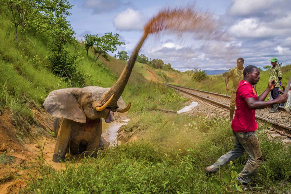 European Wildlife Photographer of the Year 2023 Winners