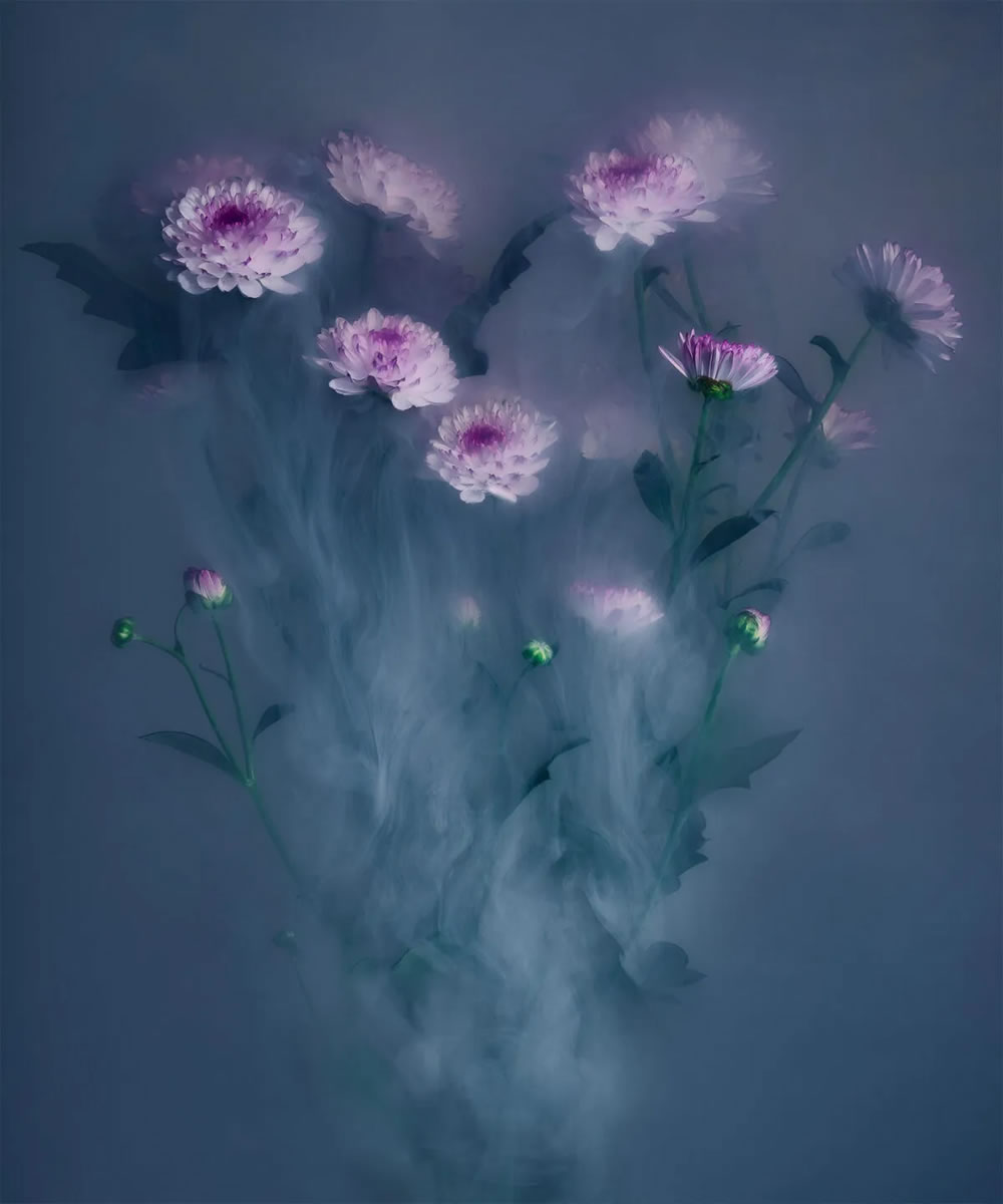 Flower still-life photography Series by Robert Peek