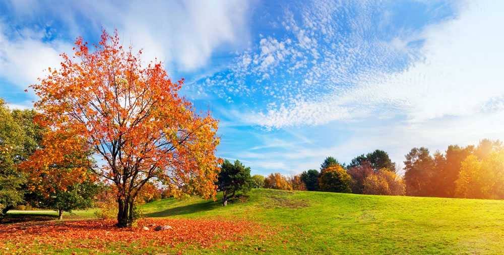 How to Capture the Perfect Landscape Photos