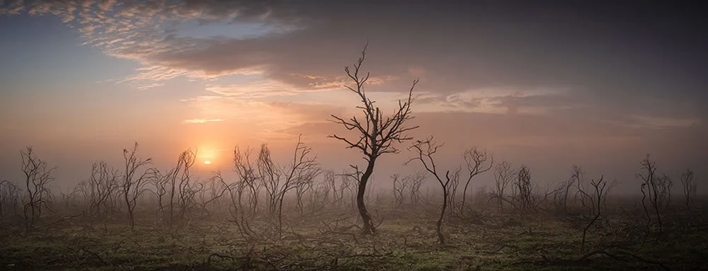 UK Landscape Photographer Of The Year 2023 Winners