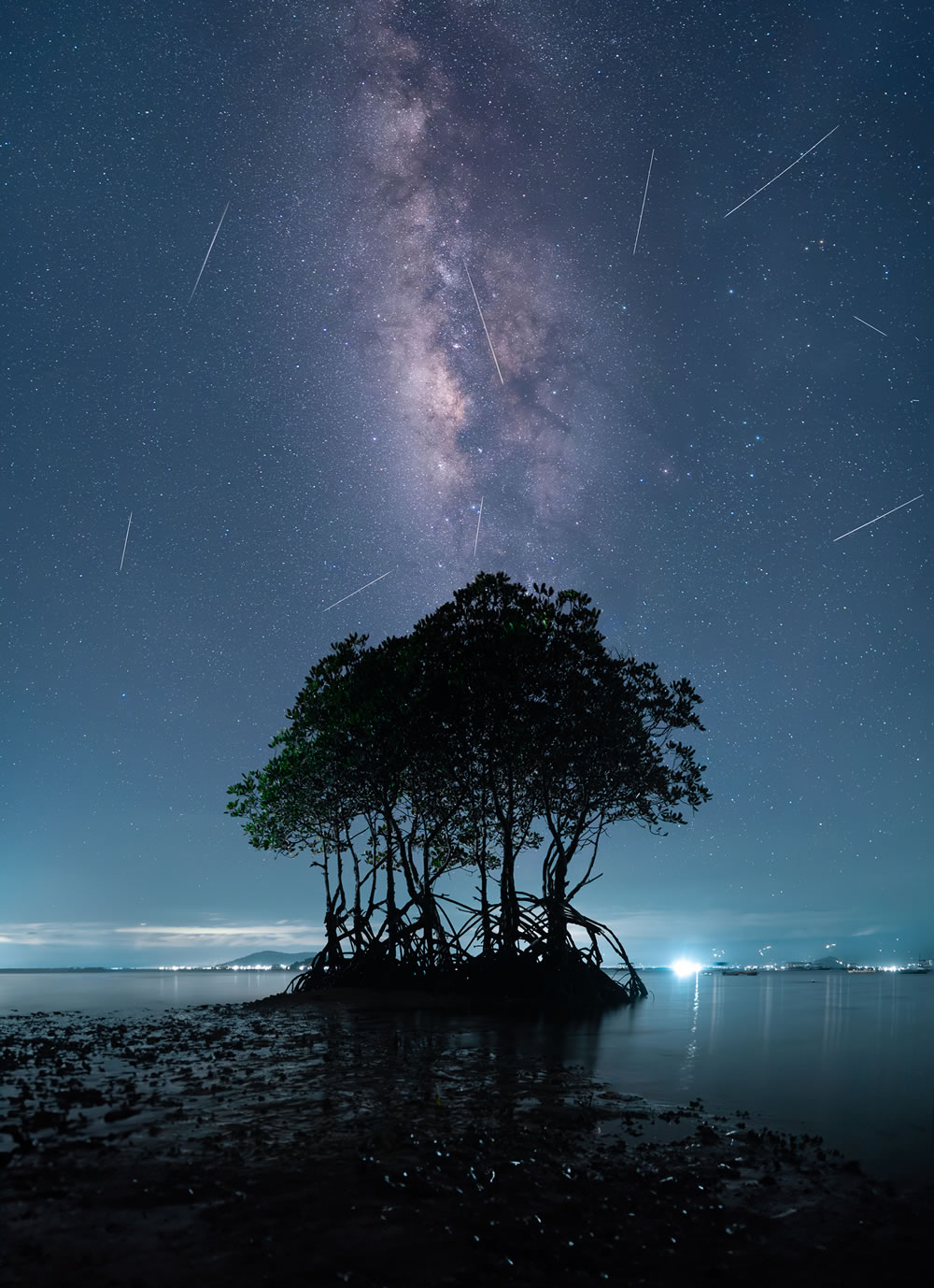 Mangrove Photography Awards 2023 Winners