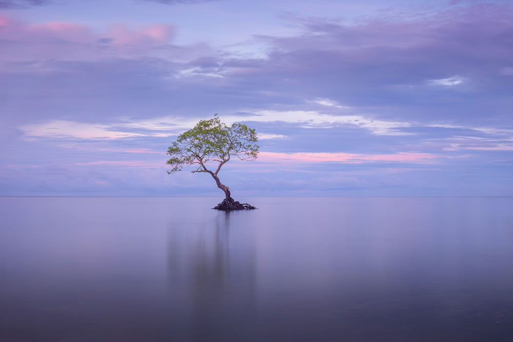 Mangrove Photography Awards 2023 Winners