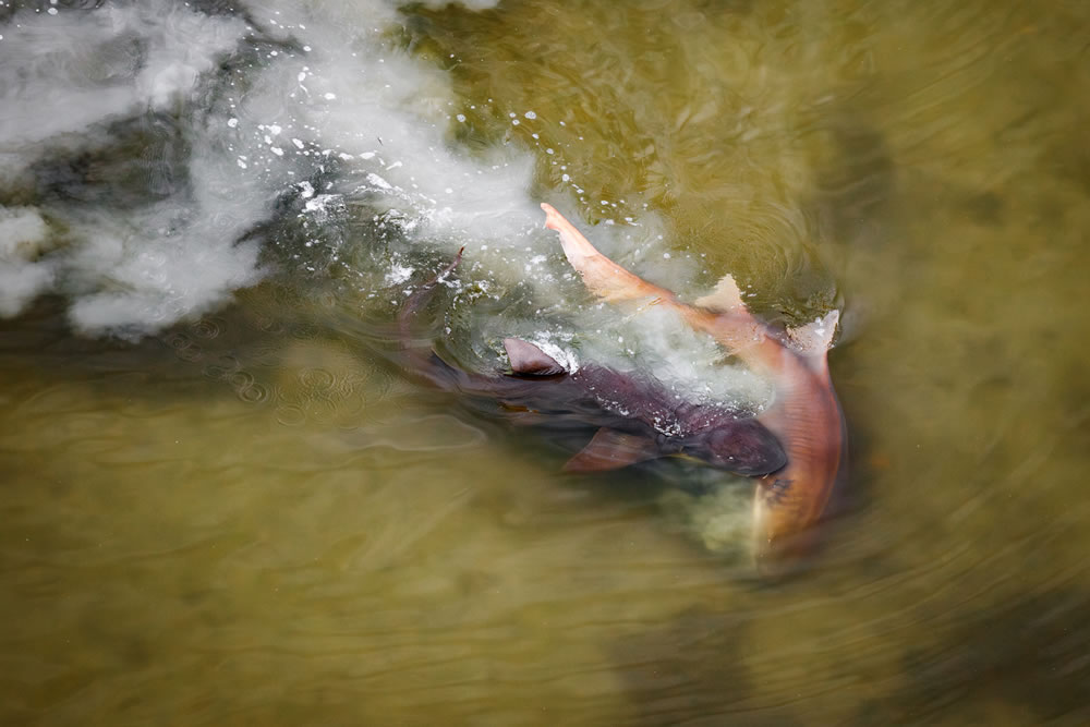 Mangrove Photography Awards 2023 Winners