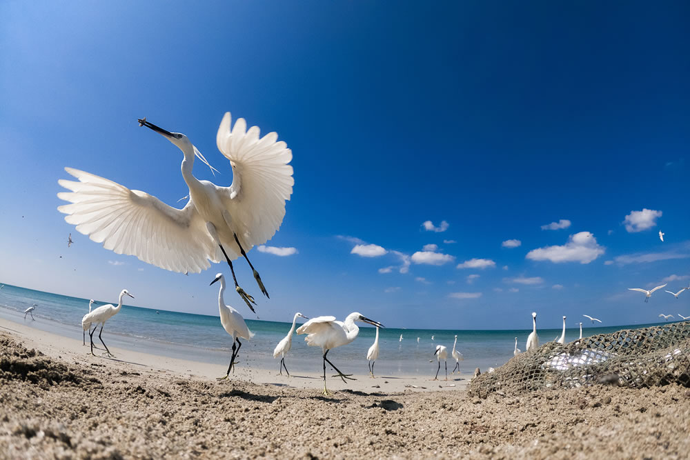 Mangrove Photography Awards 2023 Winners