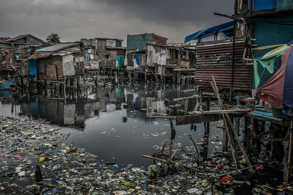 Mangrove Photography Awards 2023 Winners