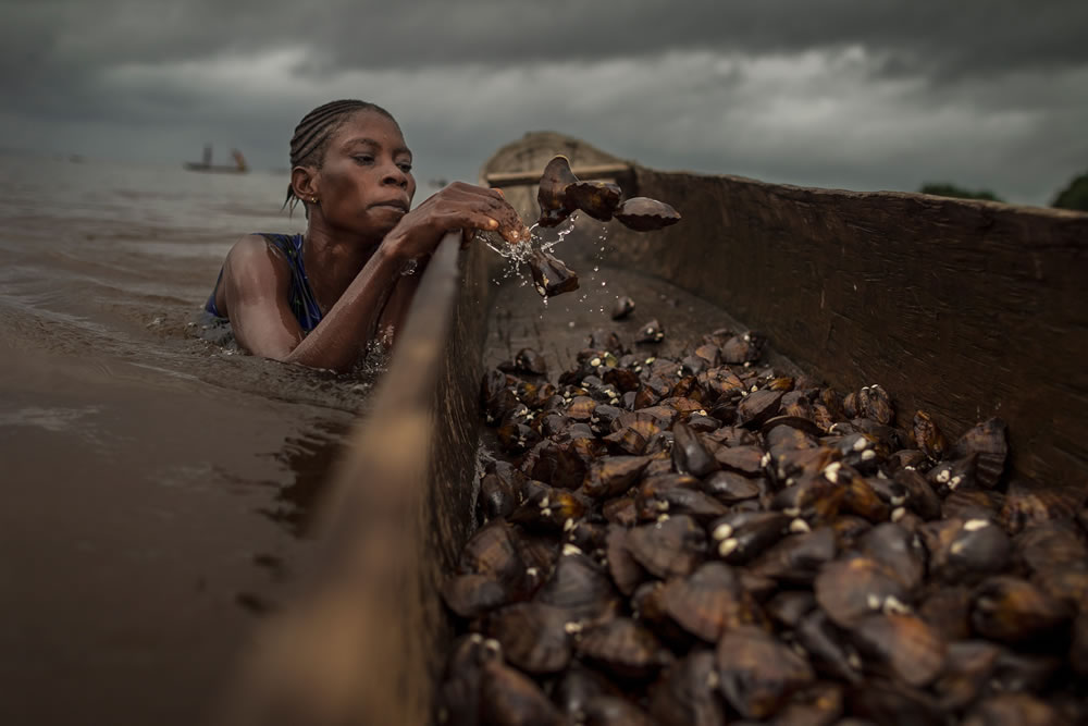 Mangrove Photography Awards 2023 Winners