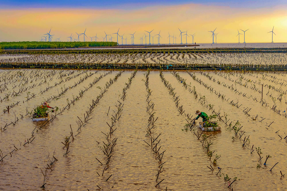 Mangrove Photography Awards 2023 Winners