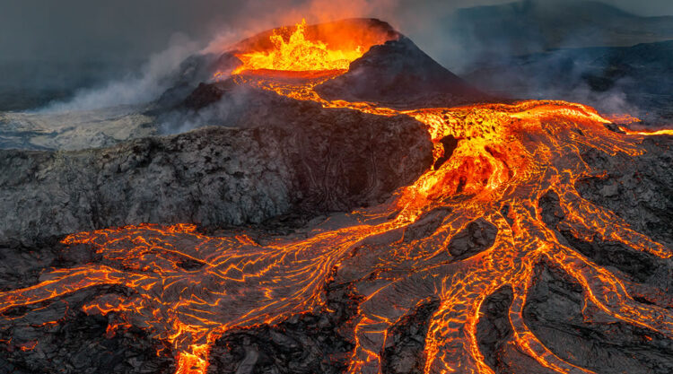 Nature Best Photography Awards 2023 Winners