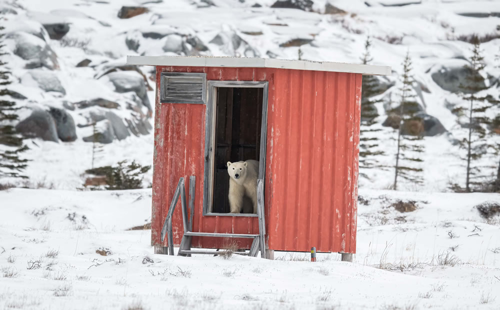 Nature Best Photography Awards 2023 Winners