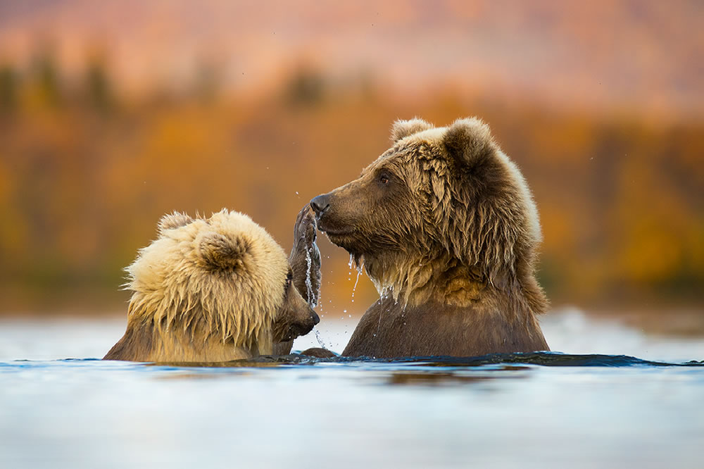 Nature Best Photography Awards 2023 Winners