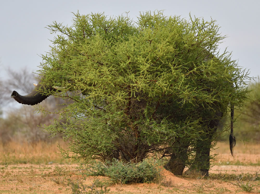 Nature Best Photography Awards 2023 Winners